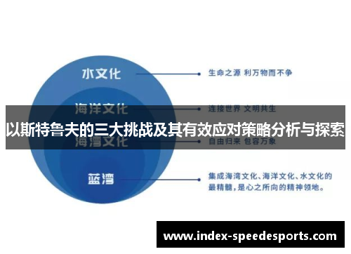 以斯特鲁夫的三大挑战及其有效应对策略分析与探索
