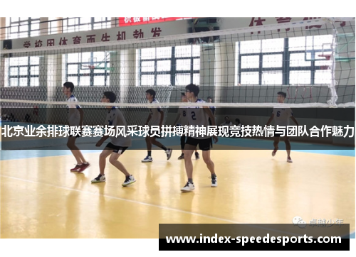 北京业余排球联赛赛场风采球员拼搏精神展现竞技热情与团队合作魅力