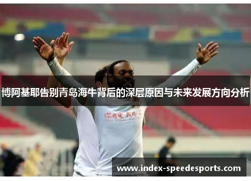 博阿基耶告别青岛海牛背后的深层原因与未来发展方向分析