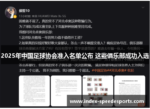 2025年中国足球协会准入名单公布 这些俱乐部成功入选
