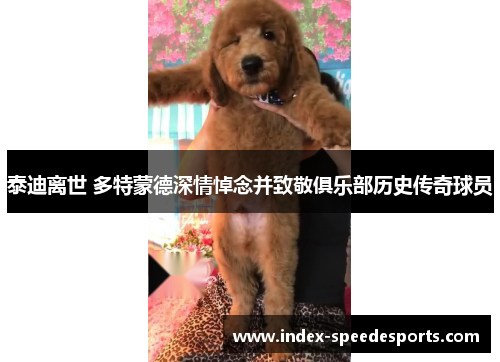 泰迪离世 多特蒙德深情悼念并致敬俱乐部历史传奇球员