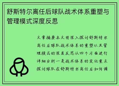 舒斯特尔离任后球队战术体系重塑与管理模式深度反思