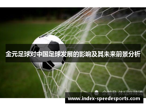 金元足球对中国足球发展的影响及其未来前景分析