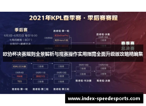 欧协杯决赛规则全景解析与观赛操作实用指南全面升级版攻略精编集 欧协杯决赛规则全景解析与观赛操作实用指南全面升级版攻略精编集