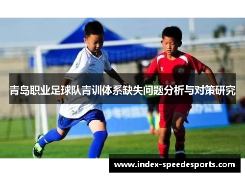 青岛职业足球队青训体系缺失问题分析与对策研究